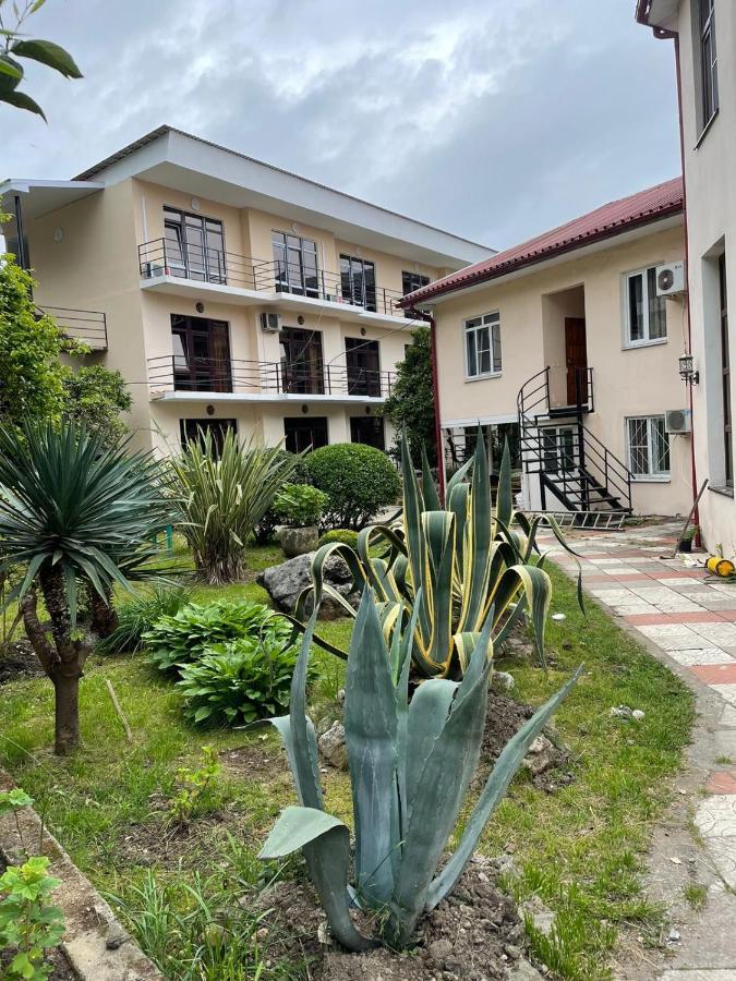Guest House Dali Gagra Exterior photo