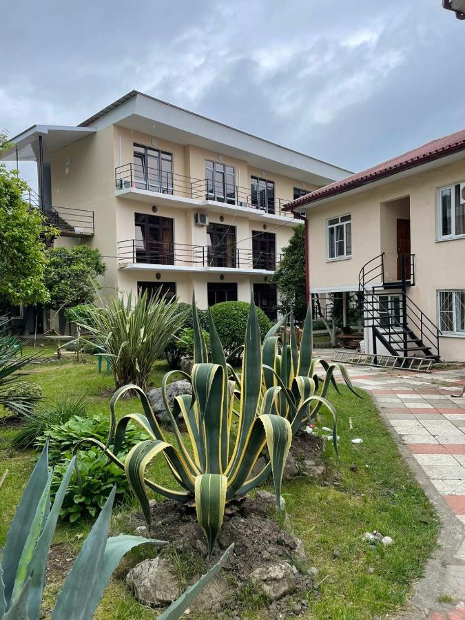 Guest House Dali Gagra Exterior photo
