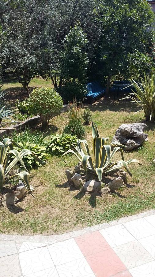 Guest House Dali Gagra Exterior photo